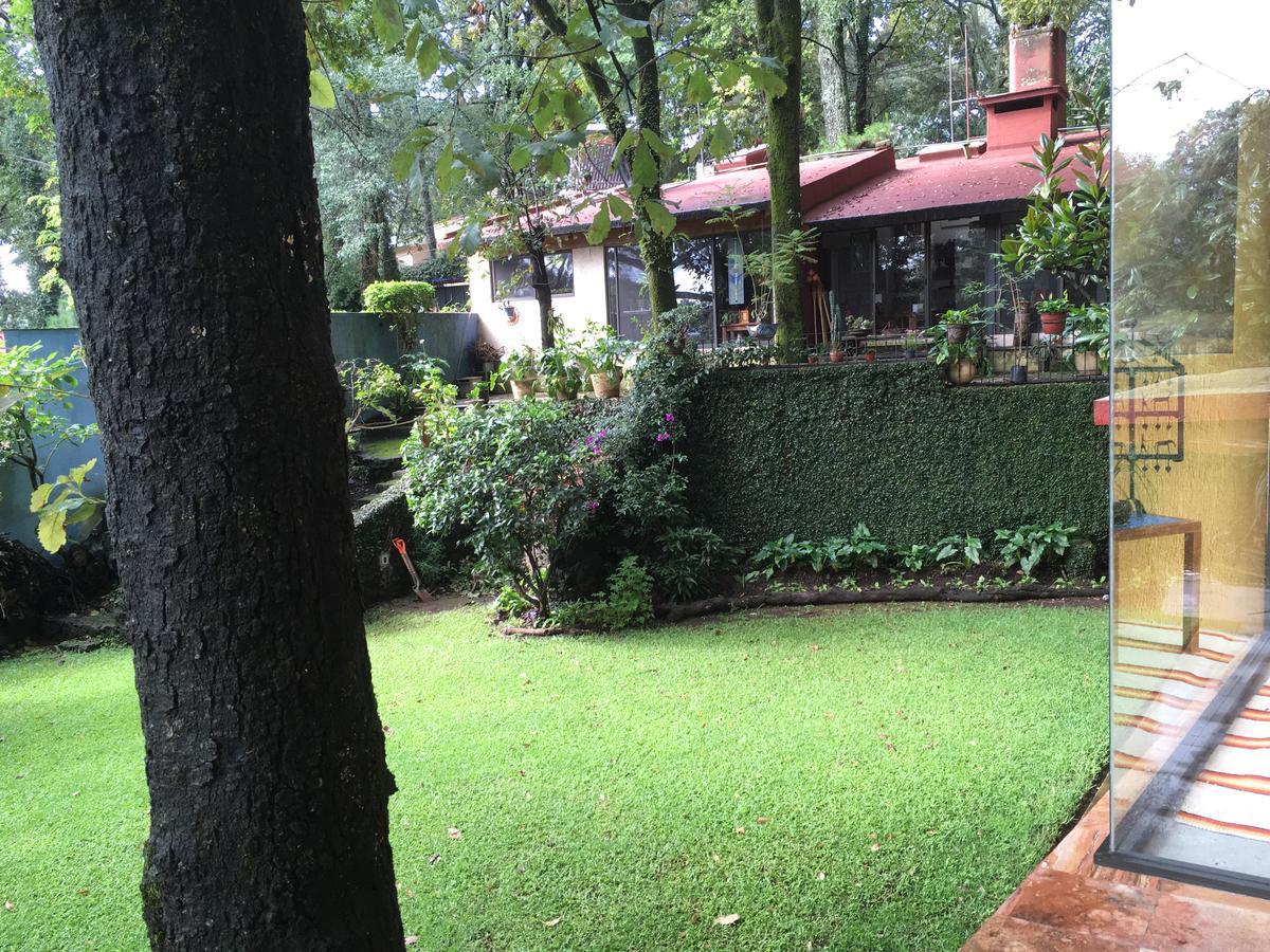 Refugio En El Bosque De Agua En Cuernavaca Villa Exterior photo